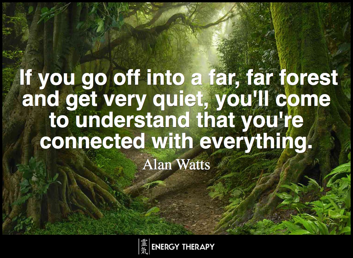 I'll tell you what hermits realize. If you go off into a far, far forest and get very quiet, you'll come to understand that you're connected with everything. ~ Alan Watts