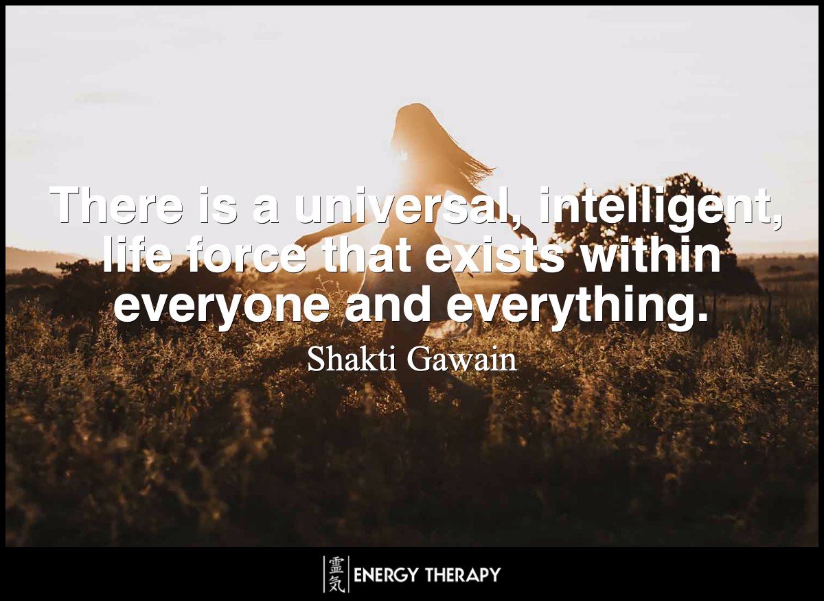 There is a universal, intelligent, life force that exists within everyone and everything.