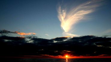 Total Frequency Shift Program Join me for a year of Renewal and Self-transformation