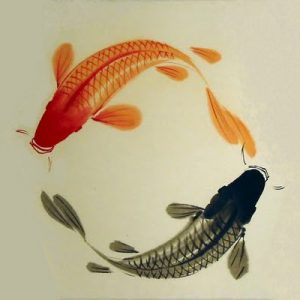 fishes-yin-yang-opti2