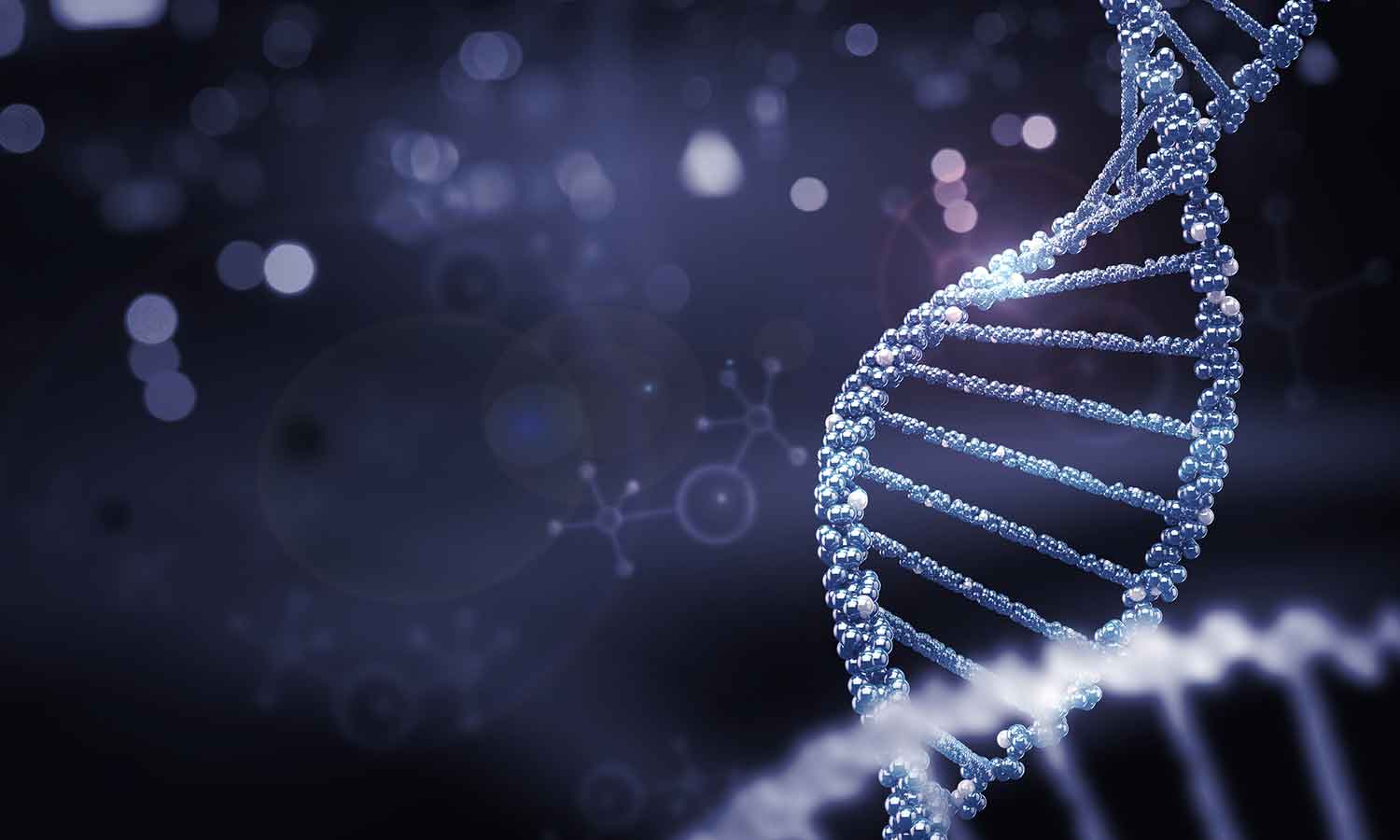 human genome project - a cosmic joke