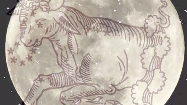 zodiac signs