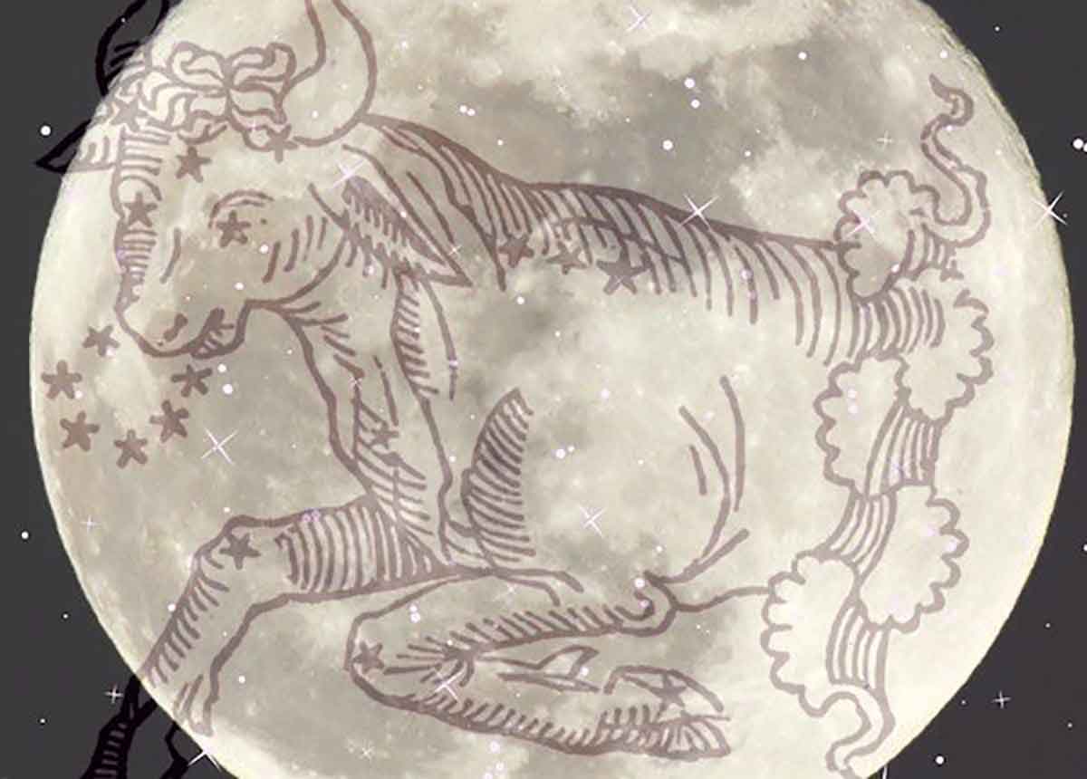 Taurus Full Moon November