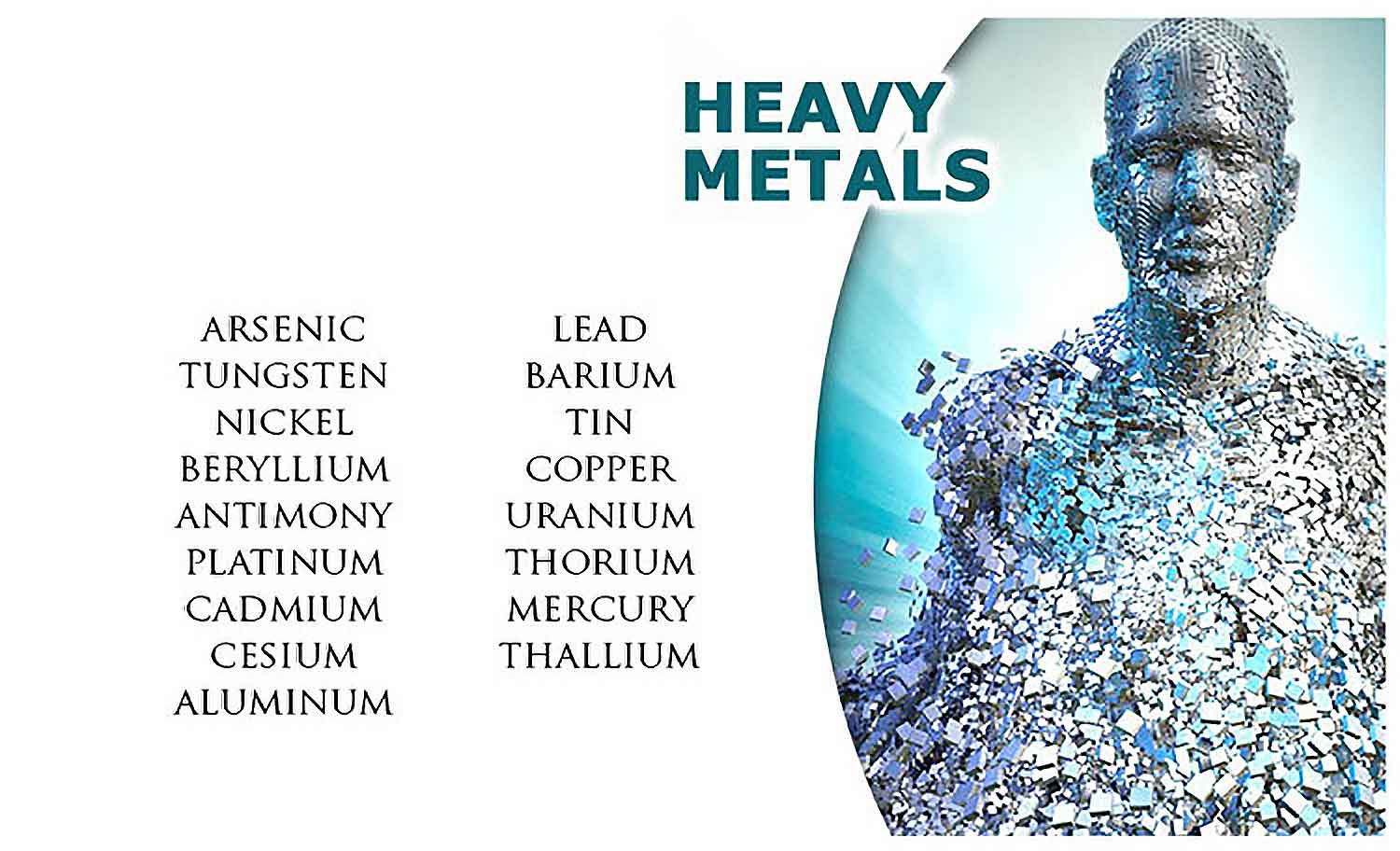 Why and How To Detox From Heavy Metals