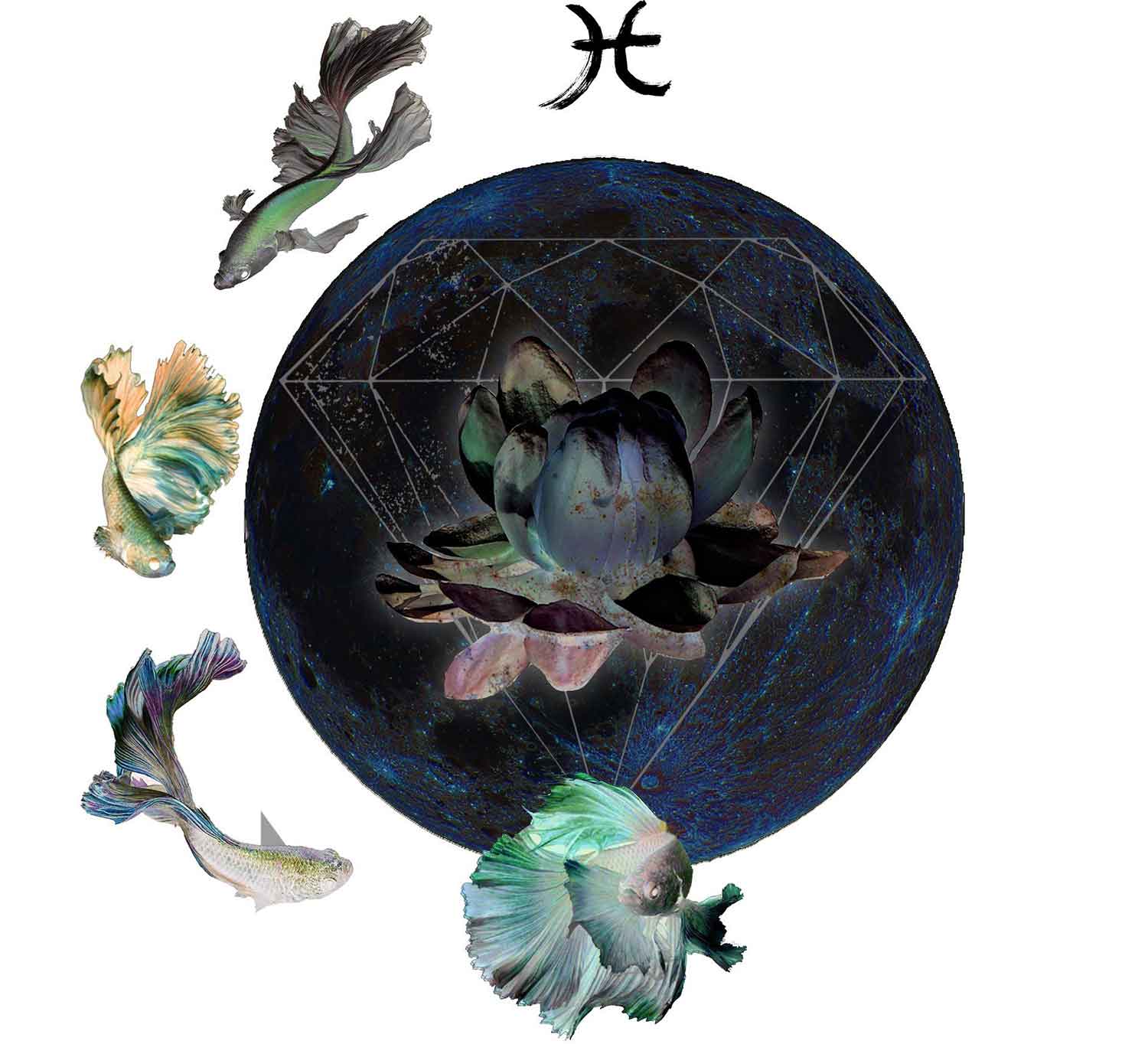 Intuitive Astrology: March New Moon 2019