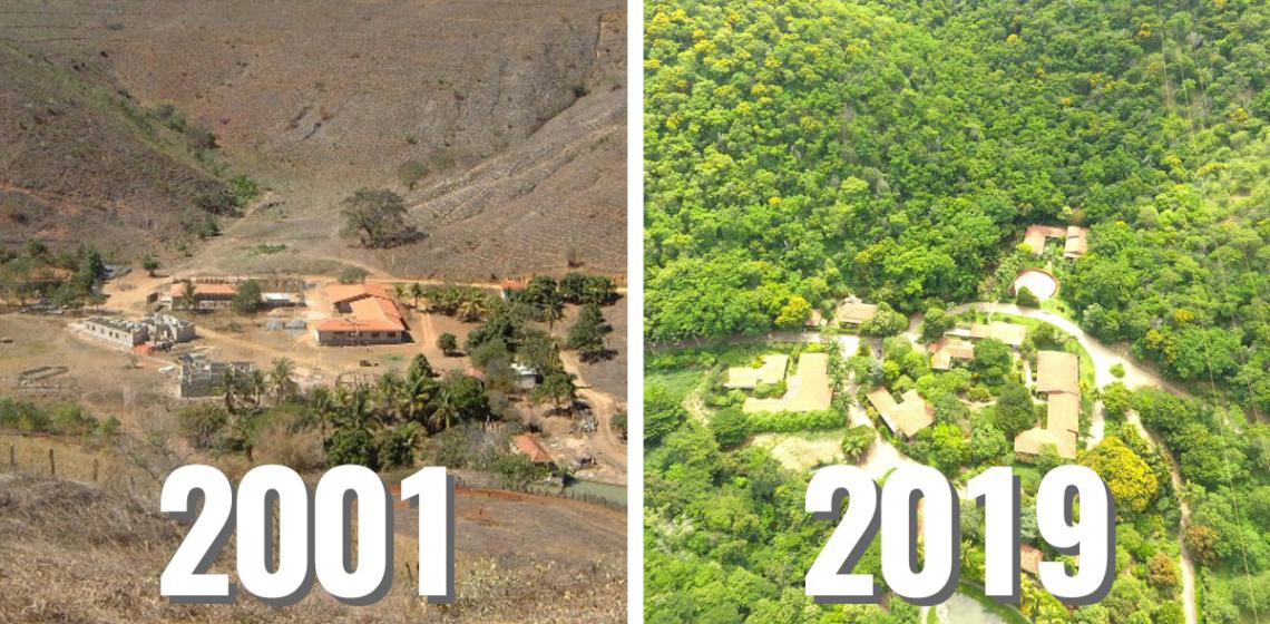 Couple Spends 20 Years Planting an Entire Forest and Animals Have Returned