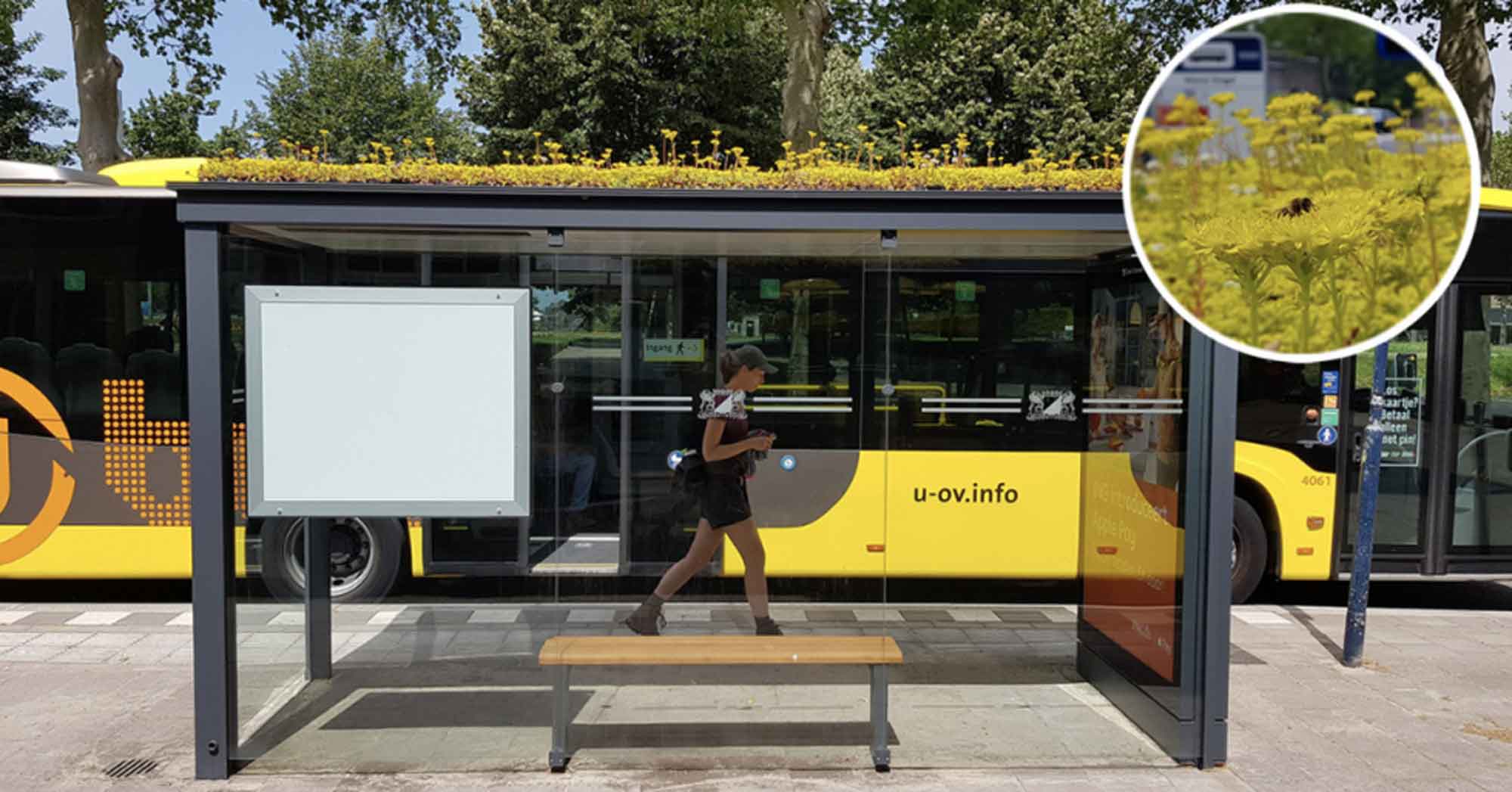 This Dutch City Has Transformed Its Bus Stops Into Bee Stops