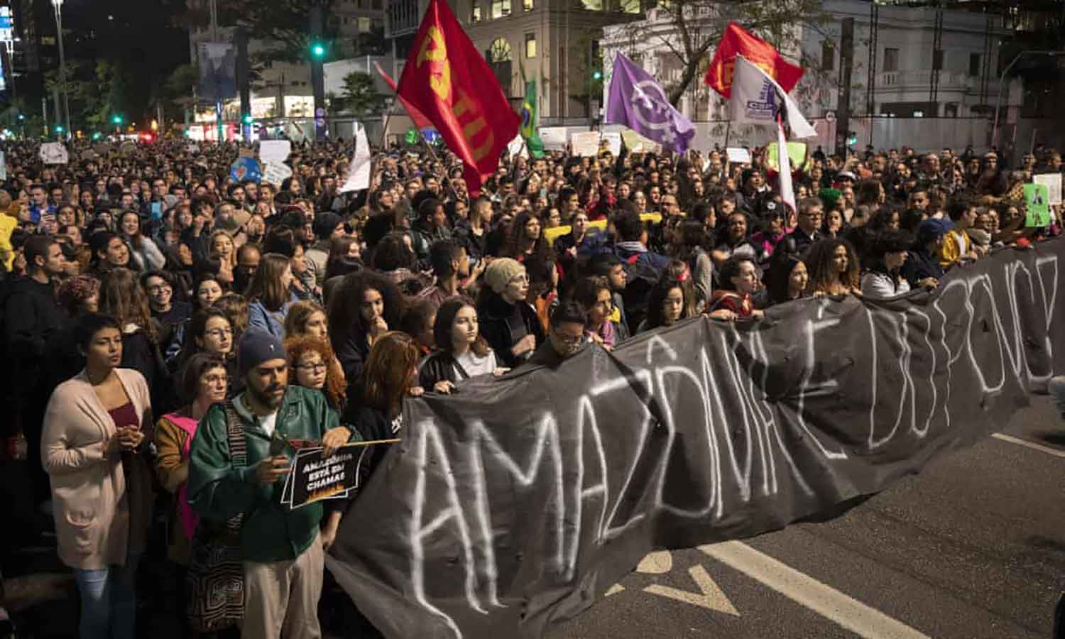 Brazilian protesters rail against Bolsonaro as Amazon fires rage on