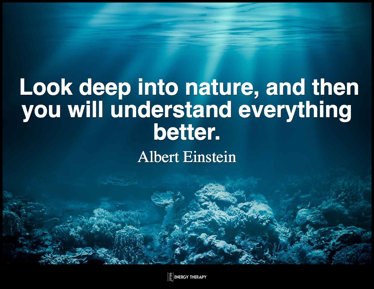Look deep into nature, and then you will understand everything better. ~ Albert Einstein