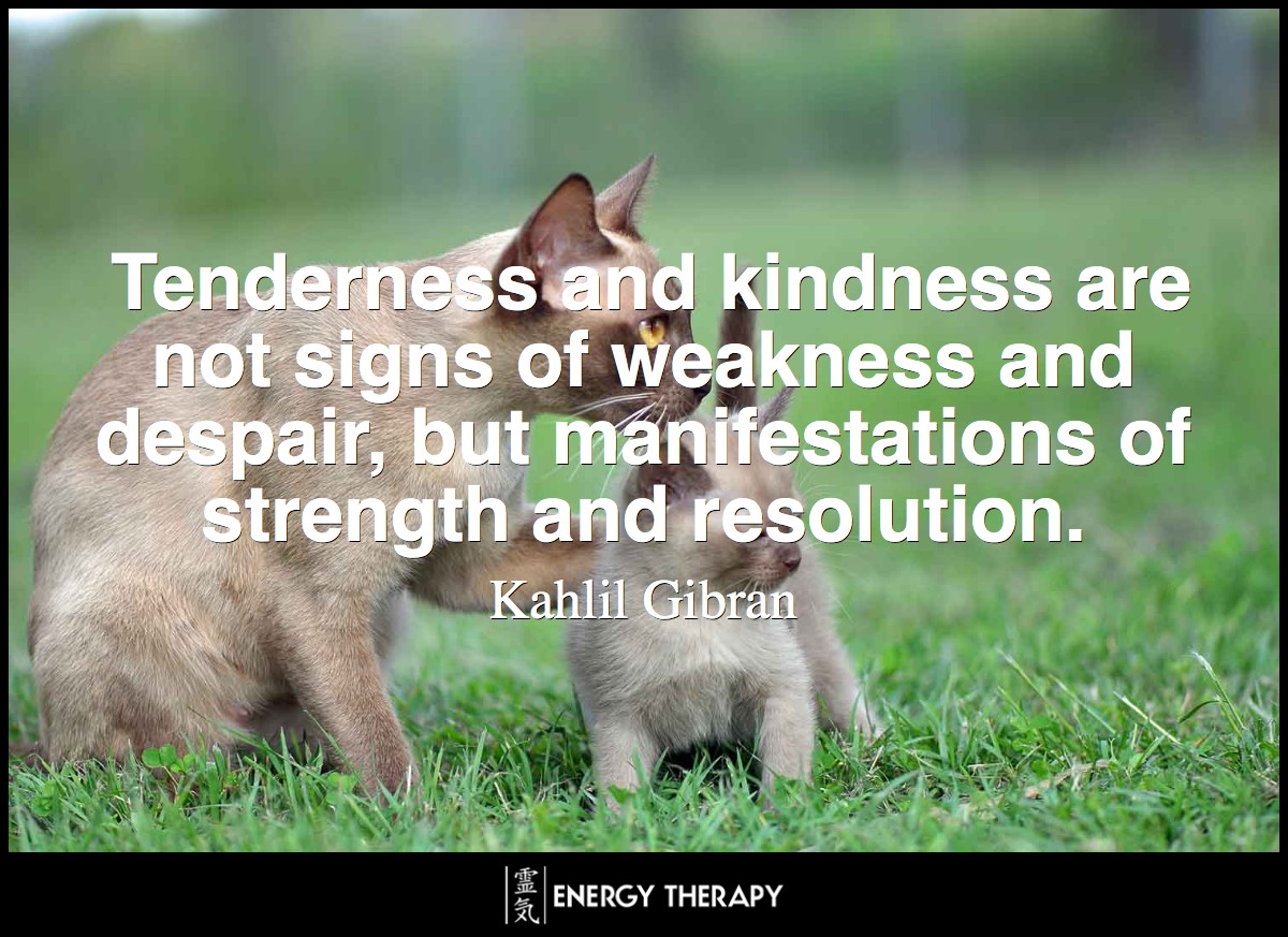 Tenderness and kindness are not signs of weakness and despair, but manifestations of strength and resolution. ~ Kahlil Gibran