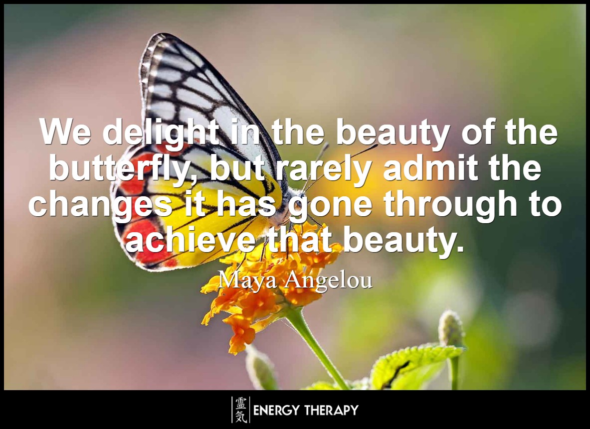 We delight in the beauty of the butterfly, but rarely admit the changes it has gone through to achieve that beauty. ~ Maya Angelou