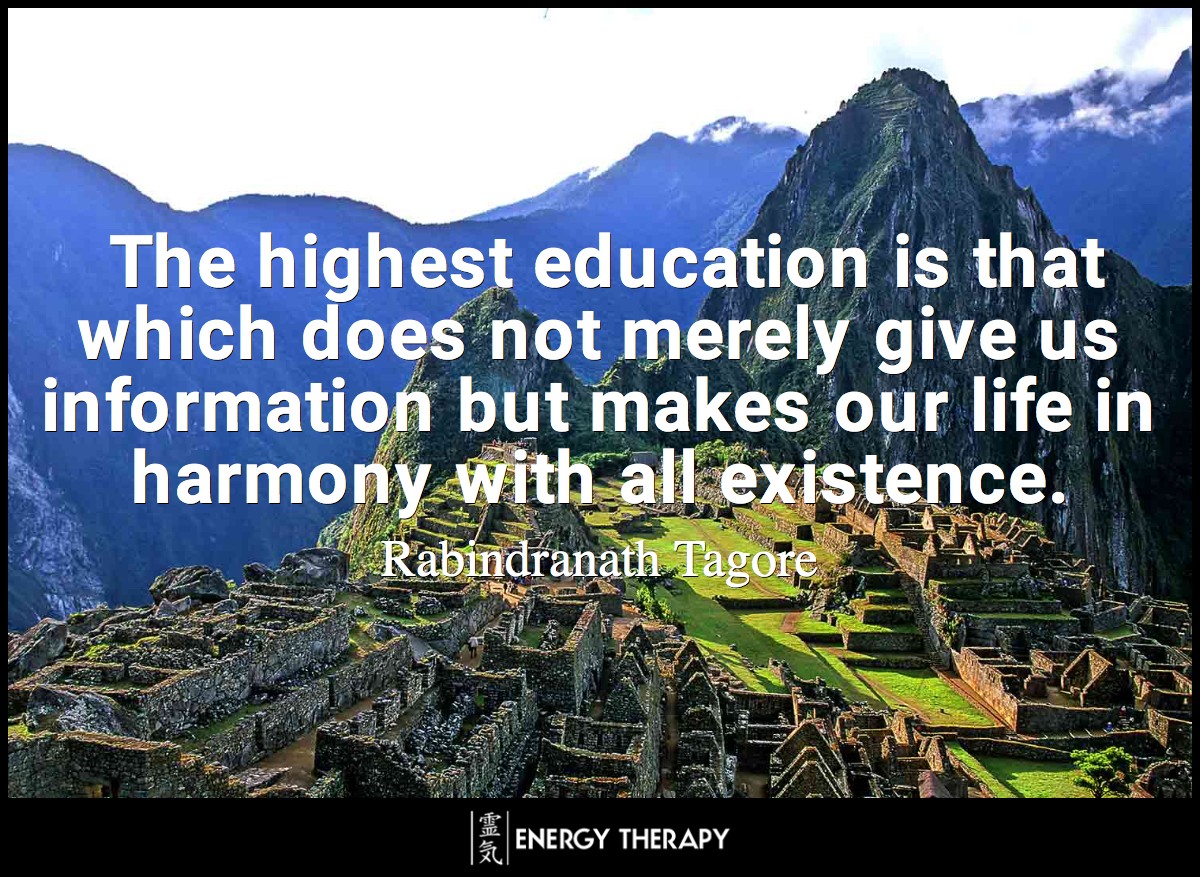 The highest education is that which does not merely give us information but makes our life in harmony with all existence. ~ Rabindranath Tagore