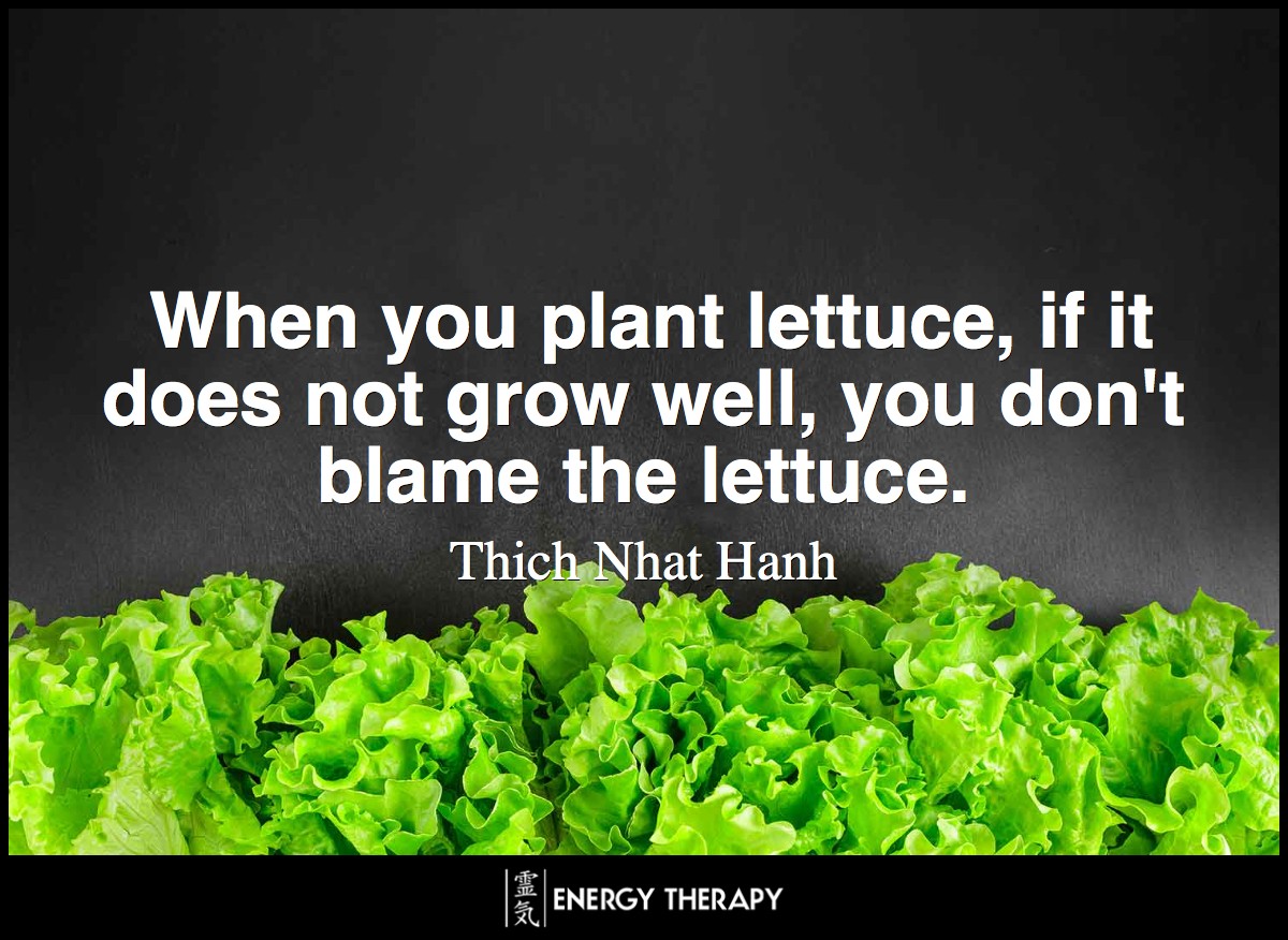 When you plant lettuce, if it does not grow well, you don't blame the lettuce. ~ Thich Nhat Hanh